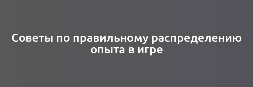 Советы по правильному распределению опыта в игре