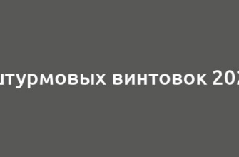 Топ-5 штурмовых винтовок 2024 года