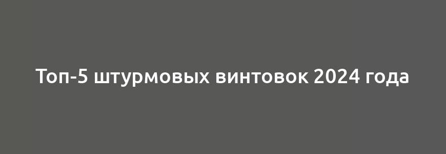 Топ-5 штурмовых винтовок 2024 года